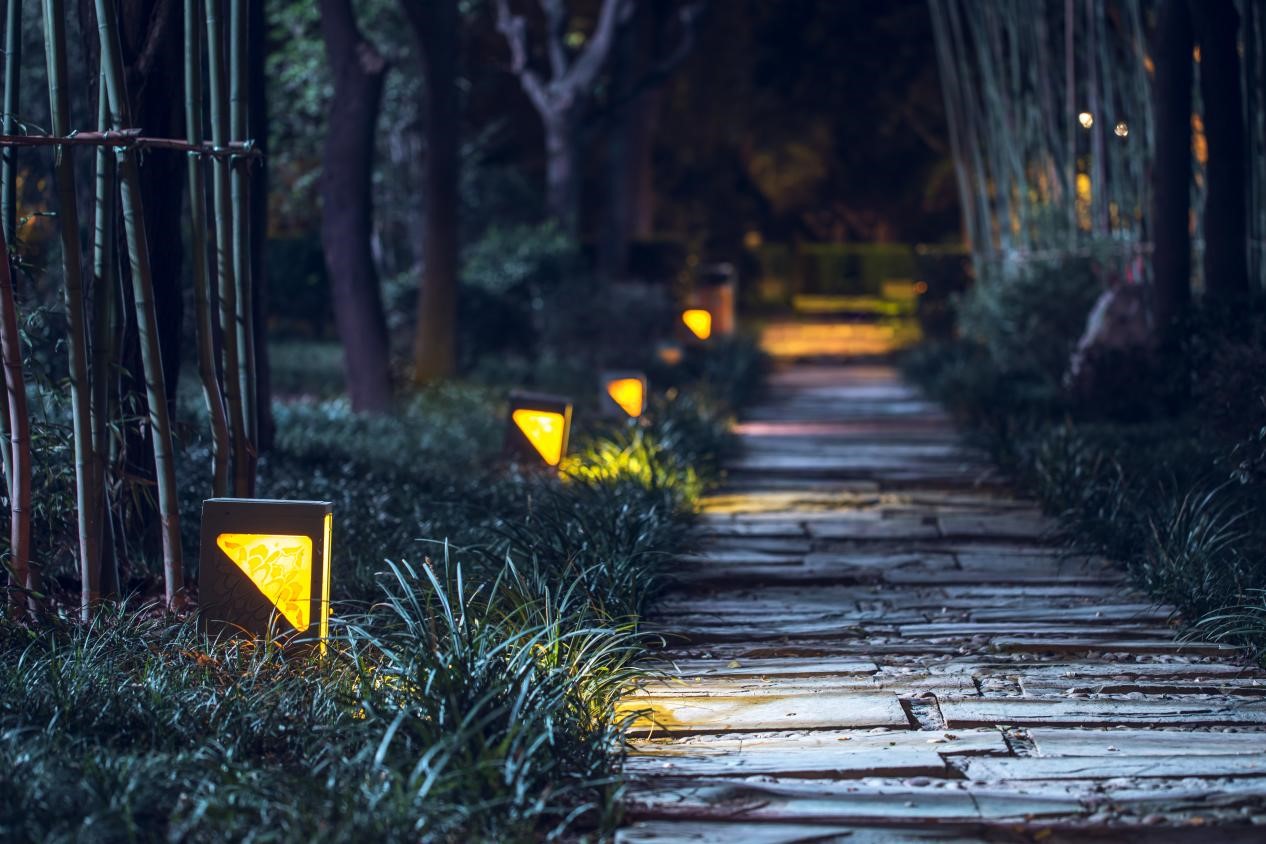 樹木亮化工程-4